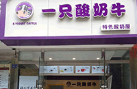 广州开一只酸奶牛店加盟费多少?